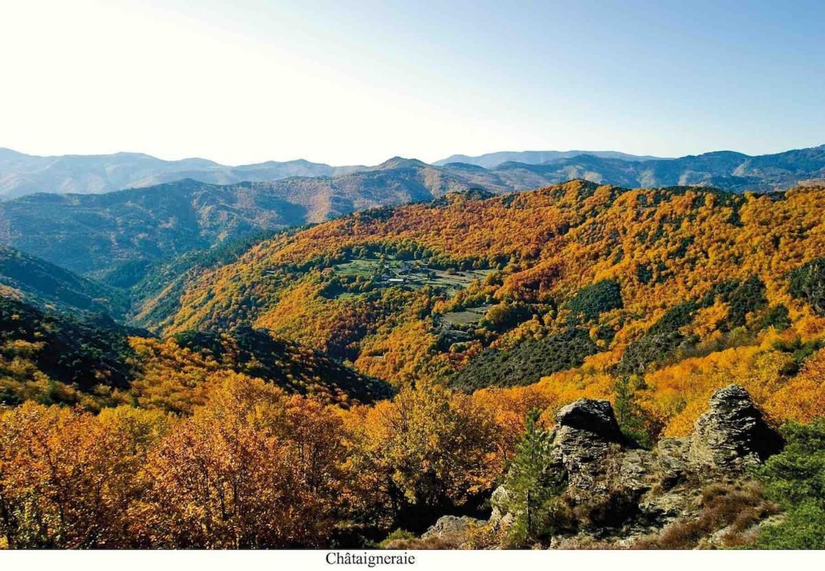 L'Oree Cevenole, Spa & Panorama D'Exception Saint Julien Les Rosiers ภายนอก รูปภาพ